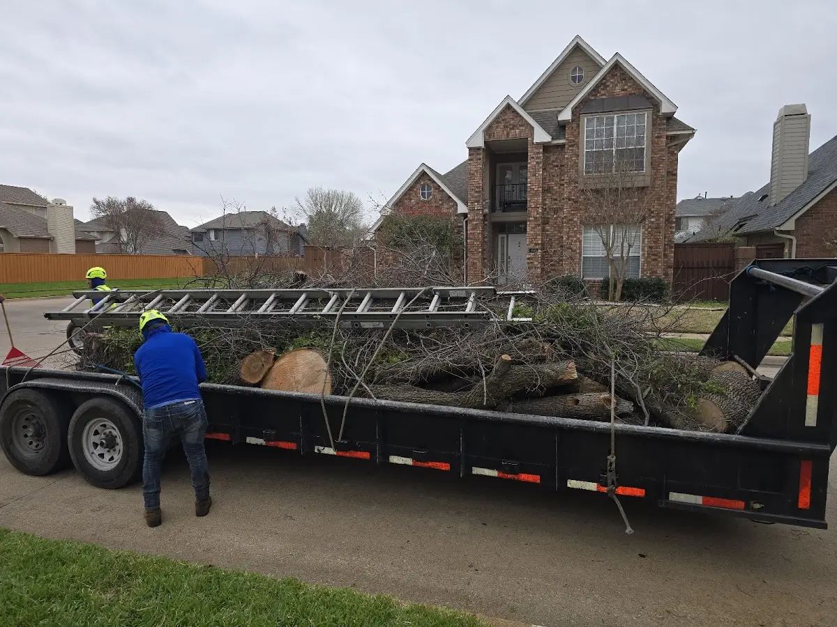 Expert Tree Removal with proper safety equipment in Brunson
